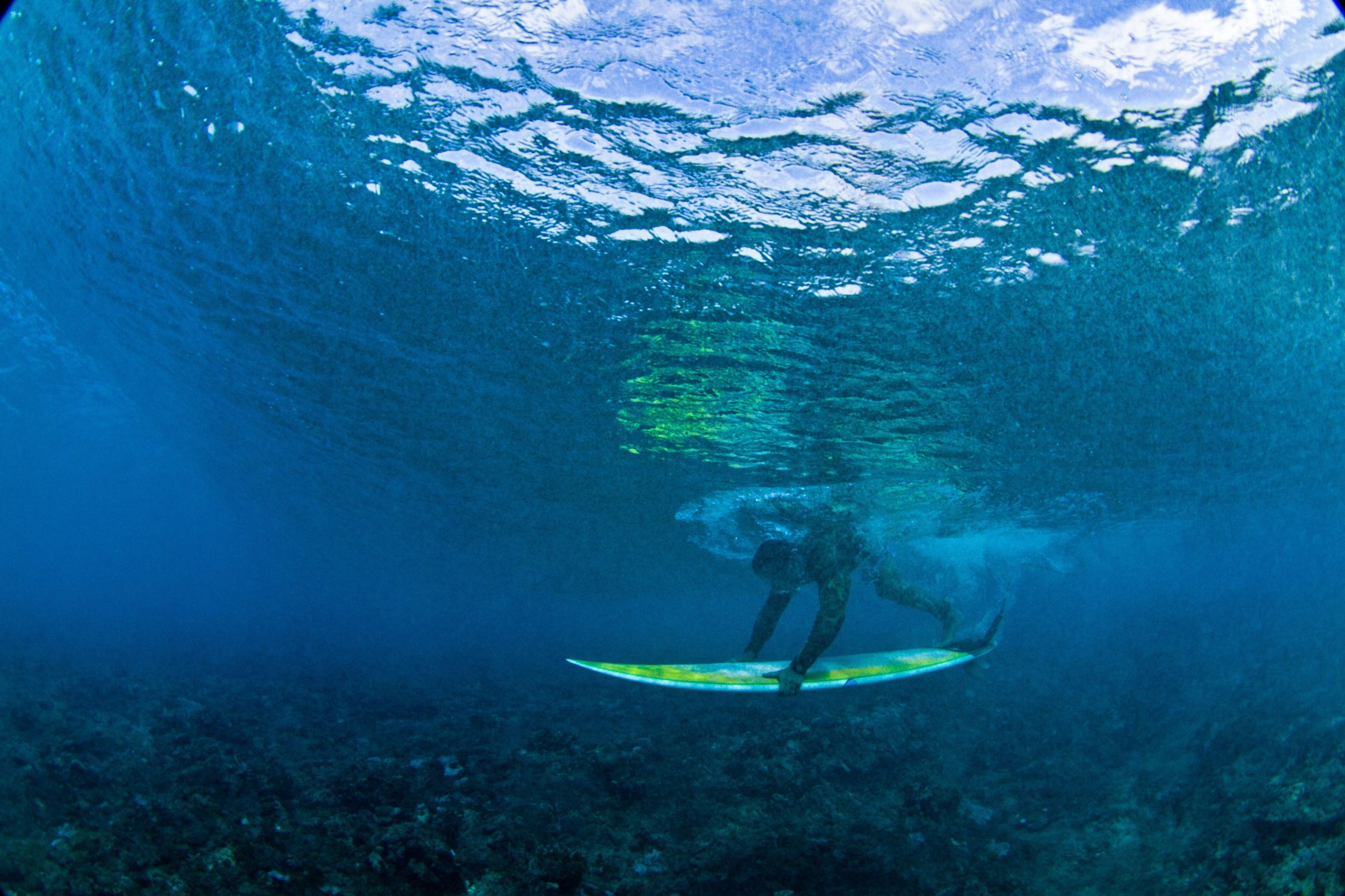 Cruso de iniciacion al surf en Mundaka con Mike Dobos